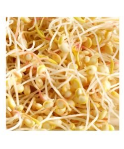 Seeds germinate - Quinoa BIO, 200 g